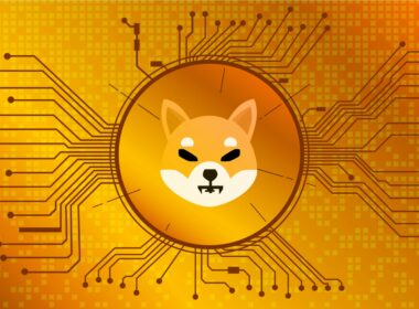 Shiba Inu successeur du dogecoin