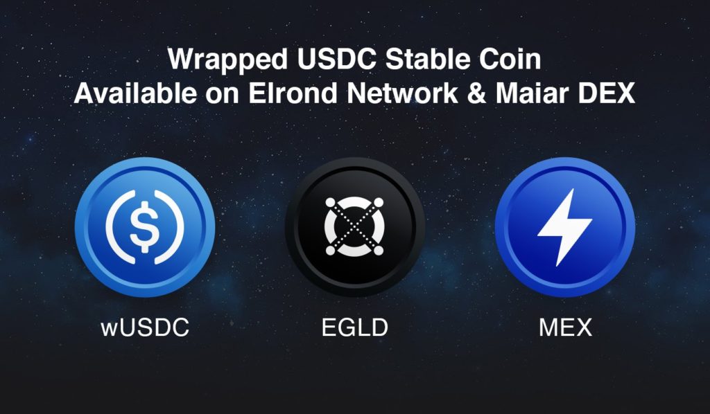wrapped USDC stable coin on Elrond Network