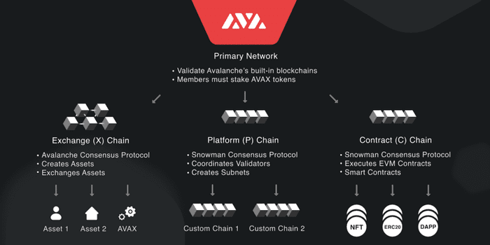 AVAX Blockchain