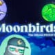 moonbirds nft