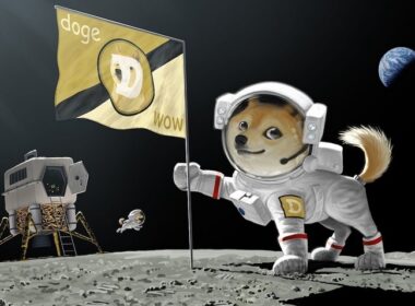 Dogecoin SpaceX Musk
