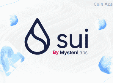 sui by mystenlabs