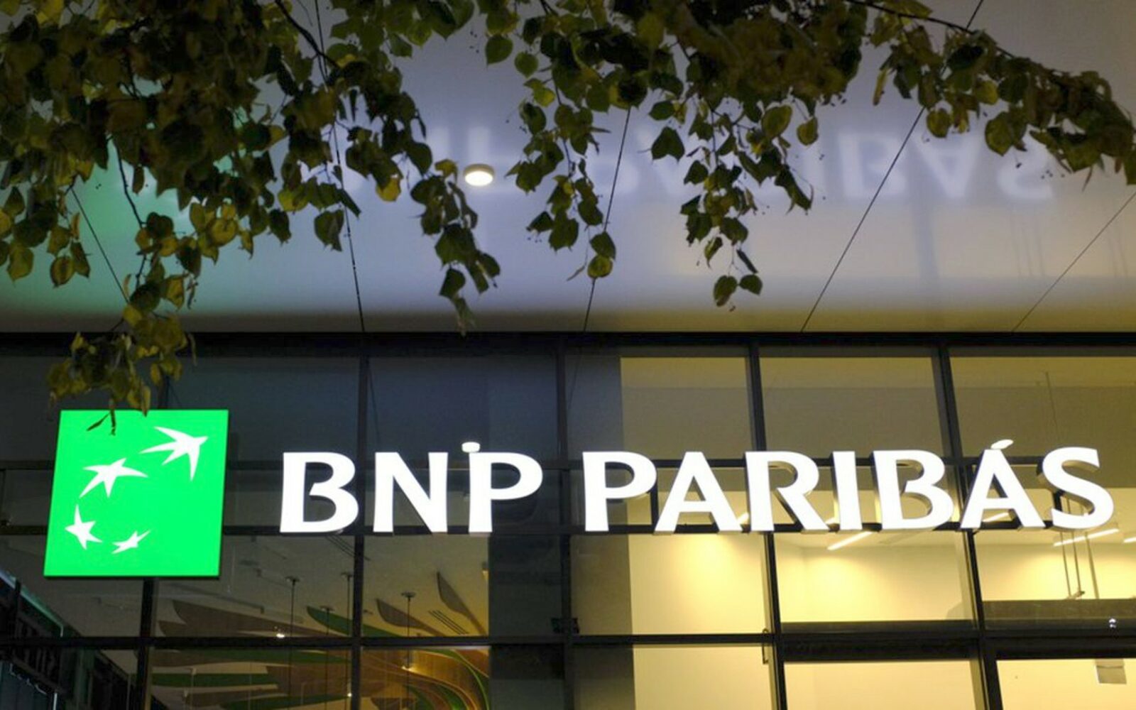 BNP Paribas conservation crypto
