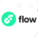 flow blockchain nft