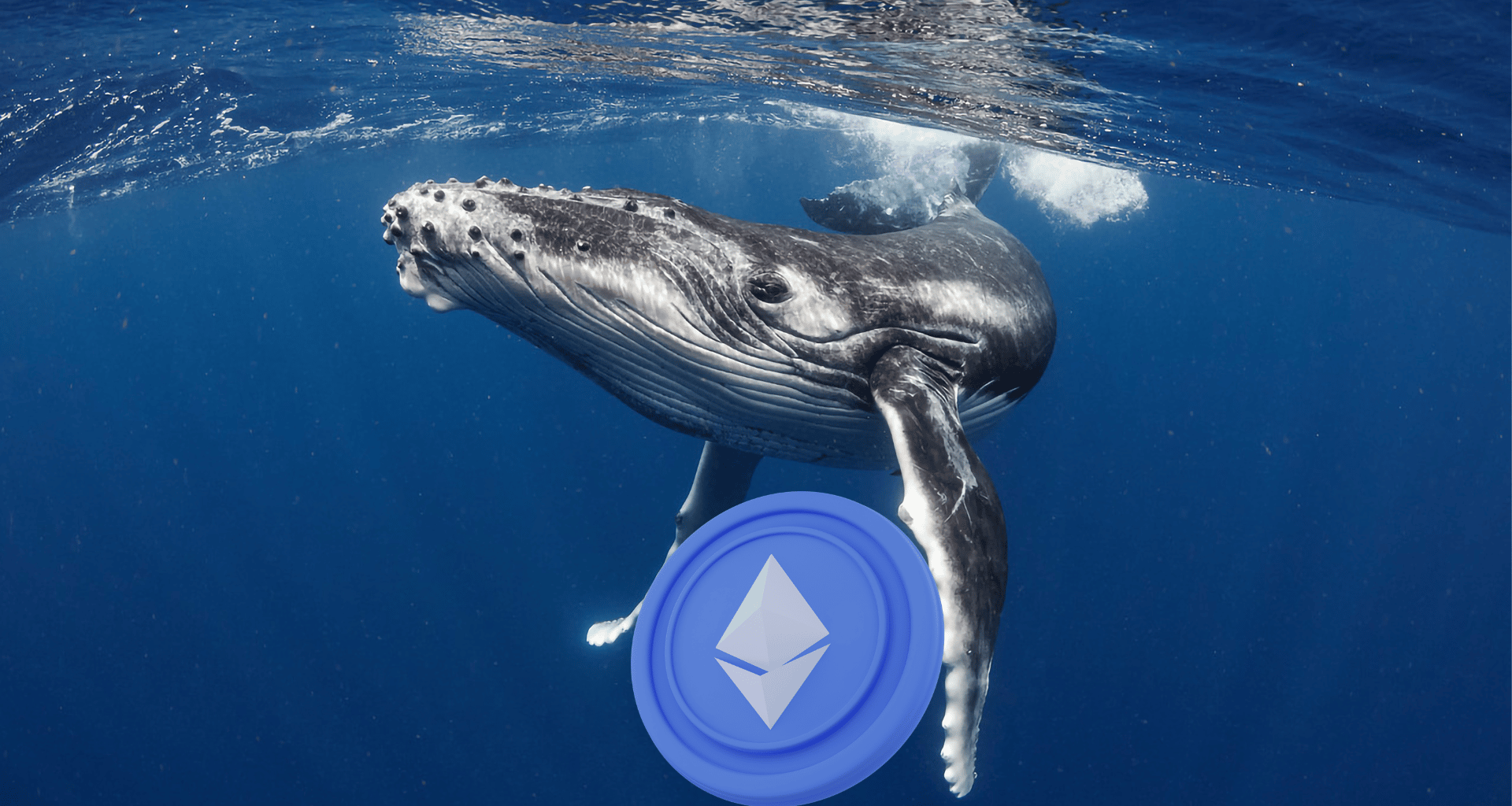 crypto whale 145 000 eth