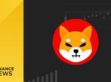 shiba inu binance carte