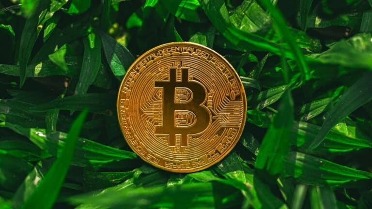 Crypto écologie