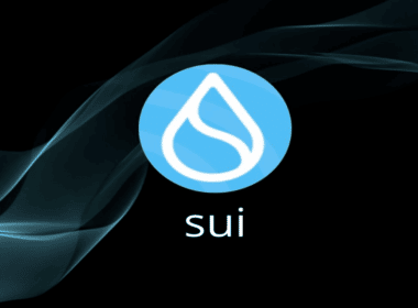 Sui Network Testnet