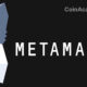 metamask consensys donnees