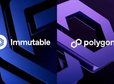 immutable polygon labs