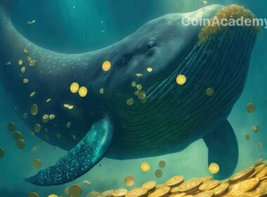 wallet bitcoin whale