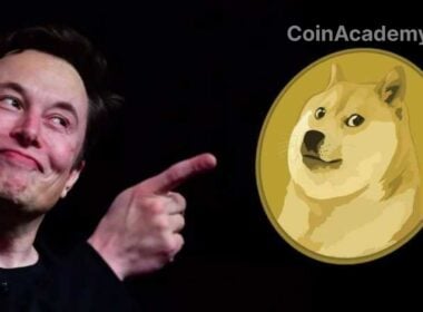 elon musk dogecoin doge