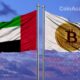 uae banque centrale indications crypto nft