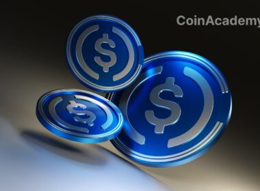 circle wallet developpeurs
