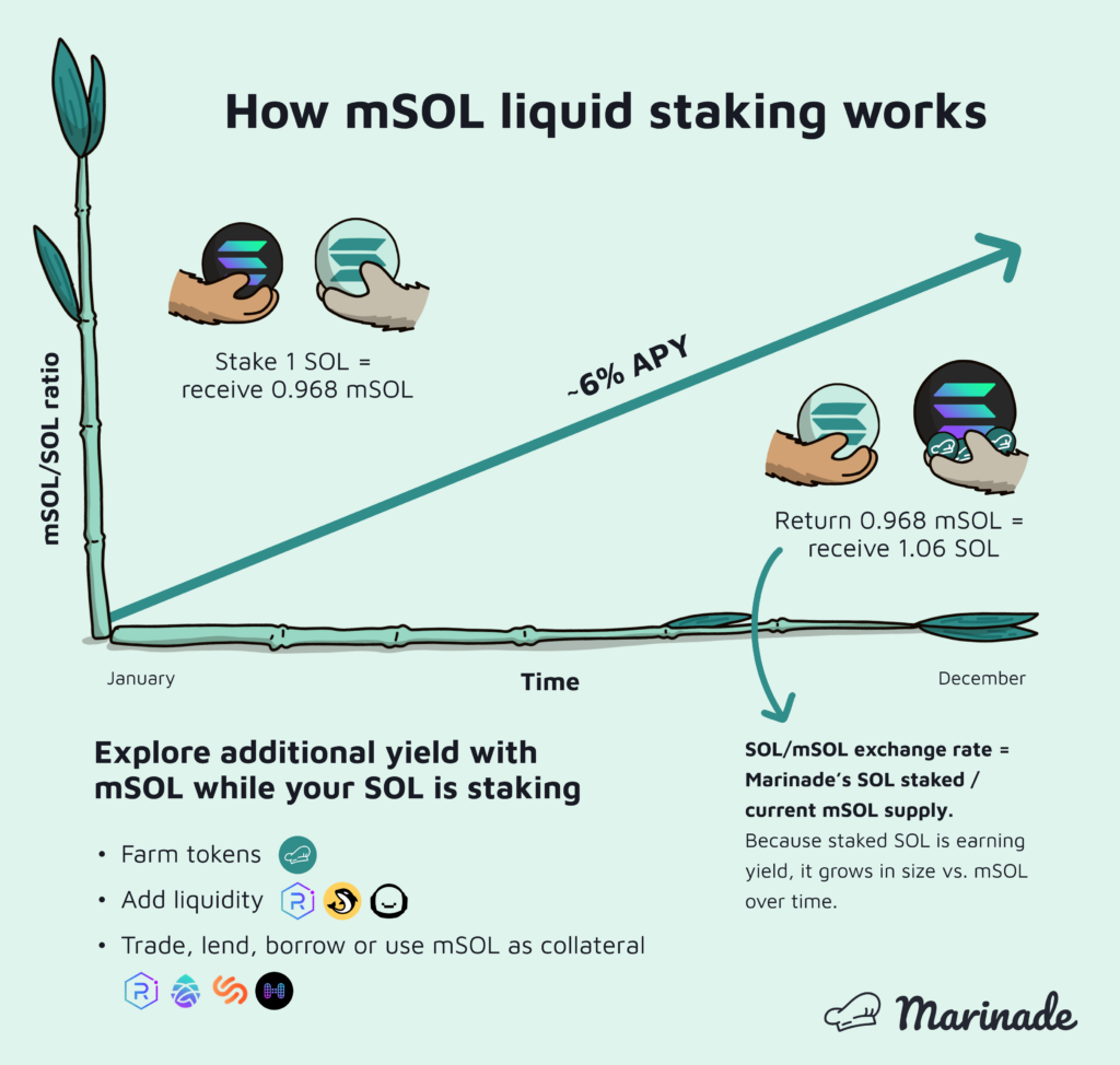 mSOL liquid staking