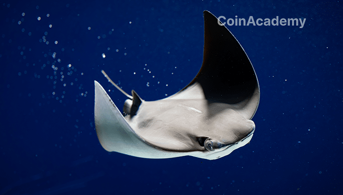 Manta Pacific Layer 2 Ethereum Polygon OP Stack