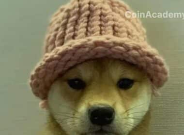 dogwifhat wif binance