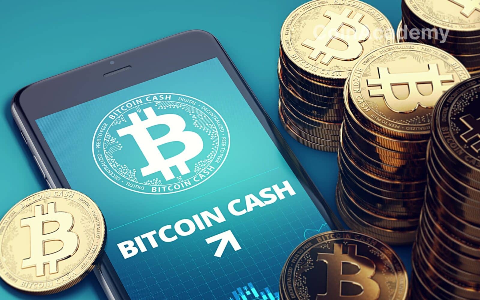 bitcoin cash halving prix