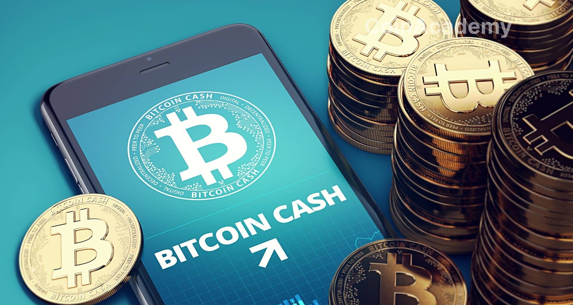bitcoin cash halving prix