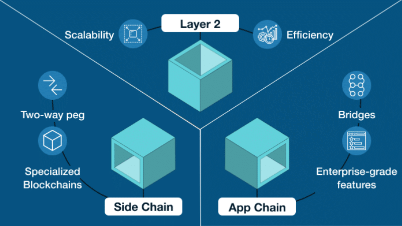 appchain layer 2 blockchain crypto