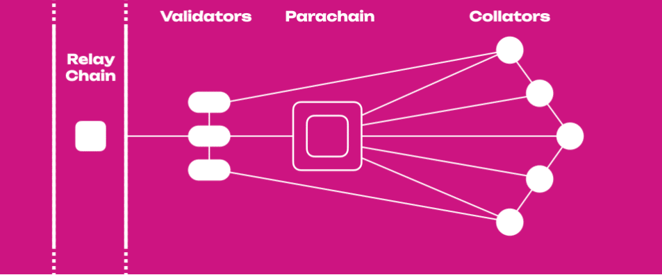 parachain polkadot appchain crypto