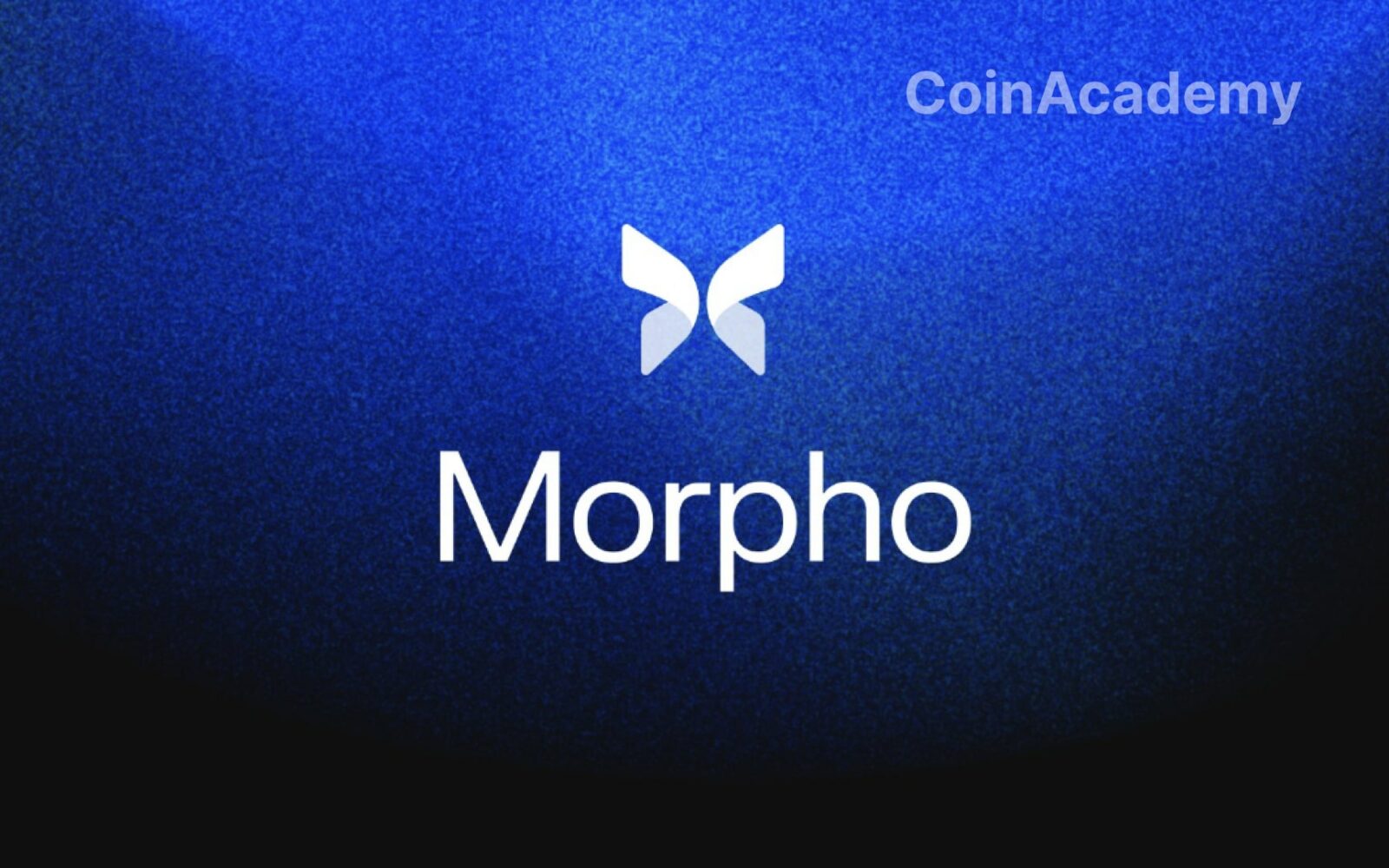 morpho labs