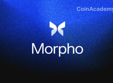 morpho labs
