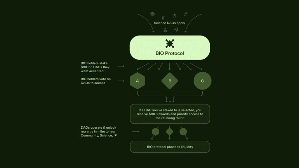 bio protocol curation