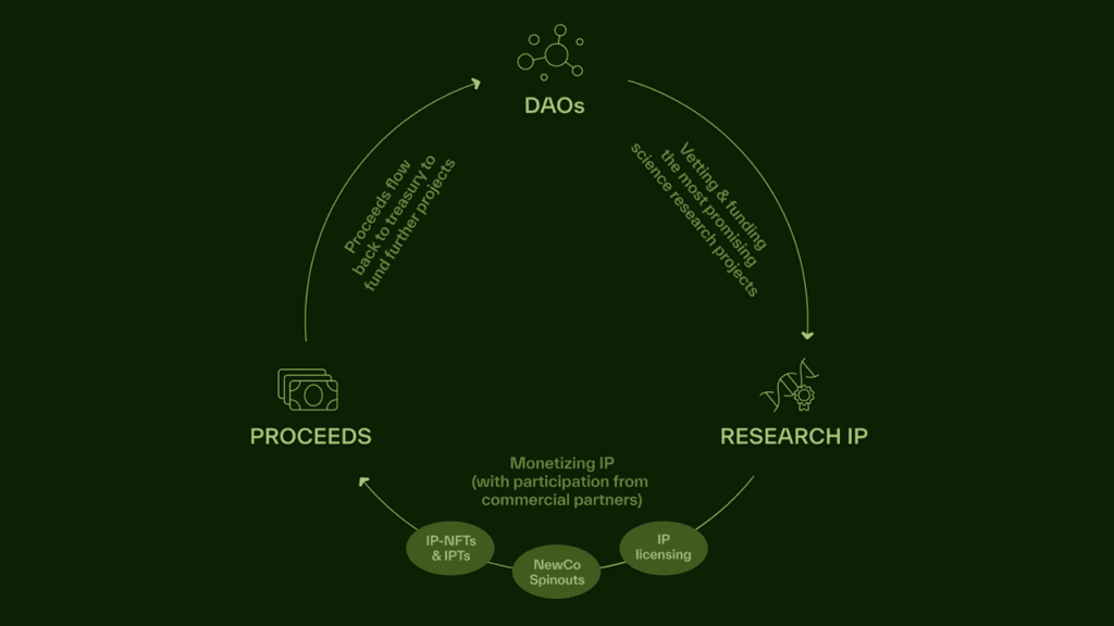 bio protocol processus