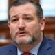 ted cruz senat regulation crypto usa