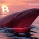 whale bitcoin short hyperliquid btc