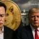 Elon Musk trump doge maison blanche