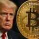 trump bitcoin btc media