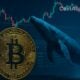 whale 1 milliard long btc bitcoin hyperliquid