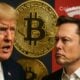 donald trump elon musk bitcoin btc tesla tsla