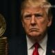 trump tmtg bitcoin levee
