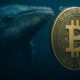 bitcoin btc whale galaxy 80000 btc