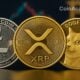 doge xrp ltc etc dino coins