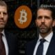 trump american bitcoin levee btc