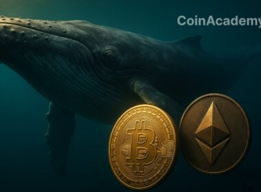 baleine btc eth