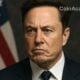 elon musk usa parti american