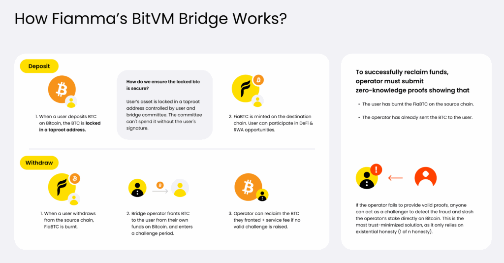 fiamma bitvm explained