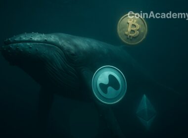 hyperliquid unit whale bitcoin ethereum