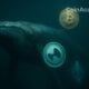 hyperliquid unit whale bitcoin ethereum