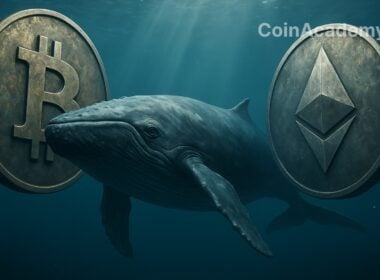 baleine bitcoin ethereum btc eth