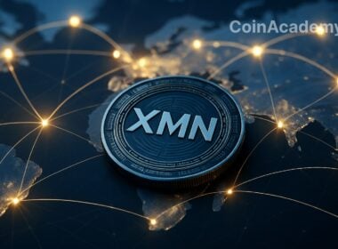 xmn xmoney token levee sui