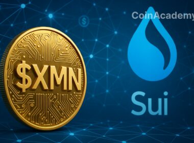 xmoney xmn levee sui