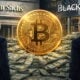 Goldman sachs bitcoin blackrock etf btc