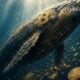 Baleine bitcoin 383 millions 8 ans