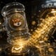 Bonk dao hack 20 millions vote